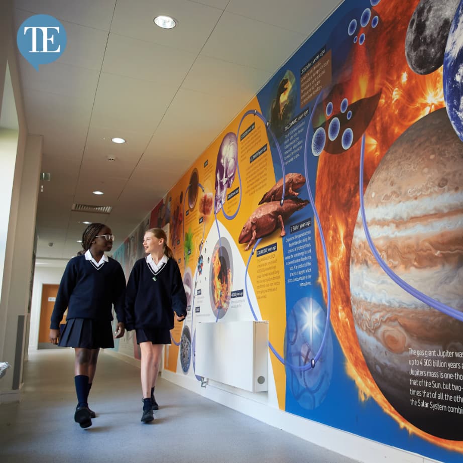 View from the Top: Sarah Rollings on greenhouse vs hothouse – which is the best recipe for success?